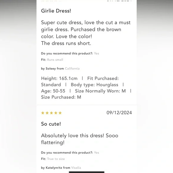 Anthropologie NWT Maeve Drop-Waist Mini Dress size L. - Picture 9 of 16